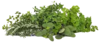 Herbes arômatiques