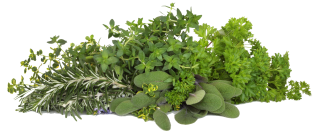 Image de herbs