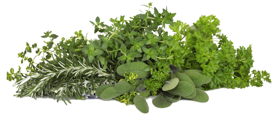 Herbs in Cooking: Origins, Nutritional Value, and Preparation