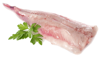 Image de monkfish