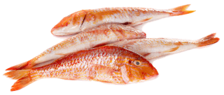 Image de red mullet