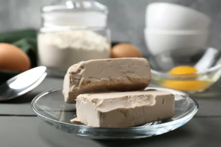 Levure de boulanger fraîche