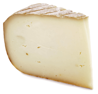 Image de sheep's milk cheese