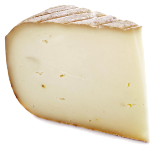 Image de sheep's milk cheese
