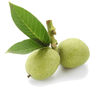 Green walnuts in cooking: season, nutritional value, and preparation