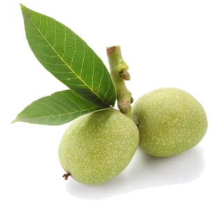 Green walnuts in cooking: season, nutritional value, and preparation
