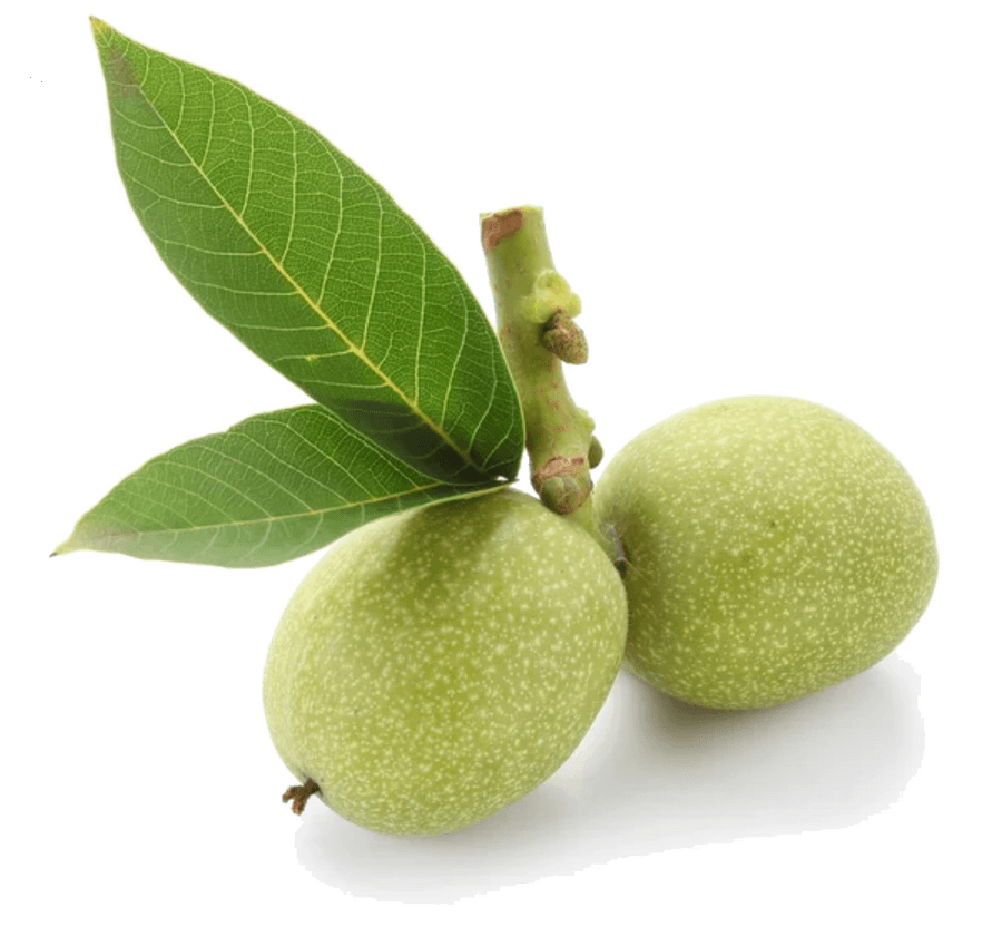 Green walnuts in cooking: season, nutritional value, and preparation