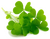Image de St. Patrick's Day