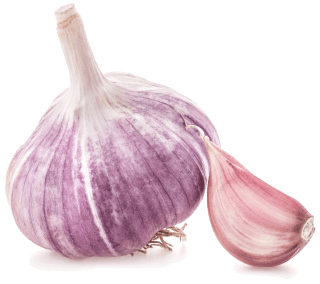Image de pink garlic
