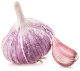 Image de pink garlic