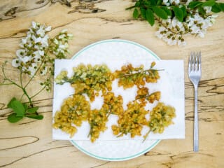Acacia Flower Fritters