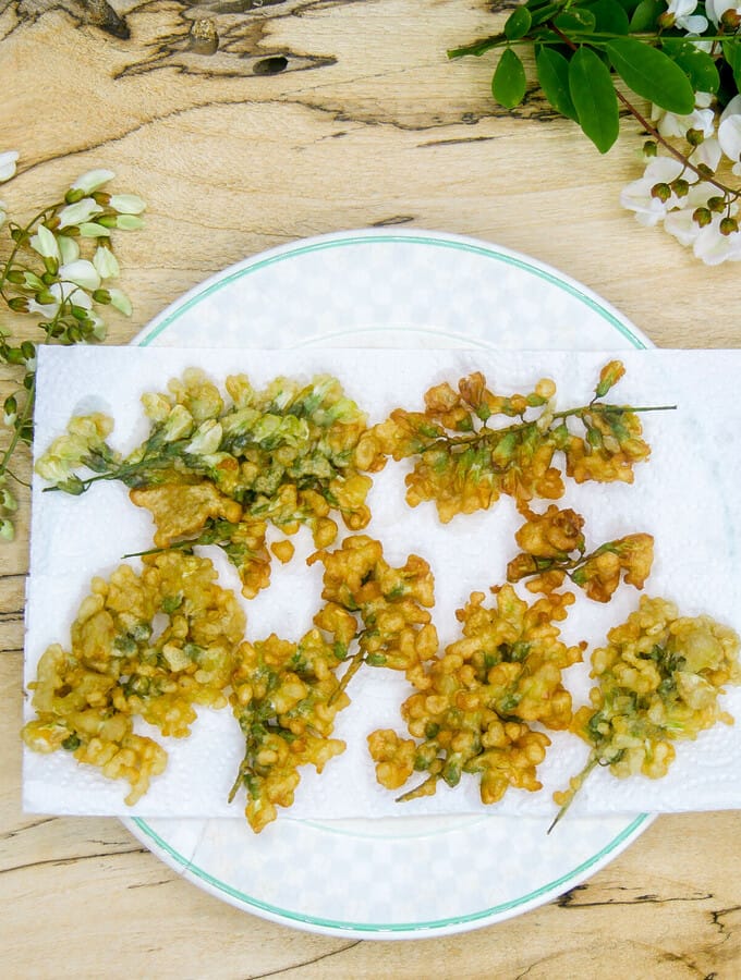 Beignets de fleurs d’acacia Beignets de fleurs d’acacia