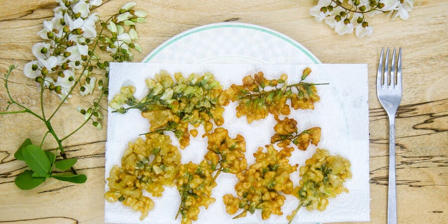 Beignets de fleurs d’acacia