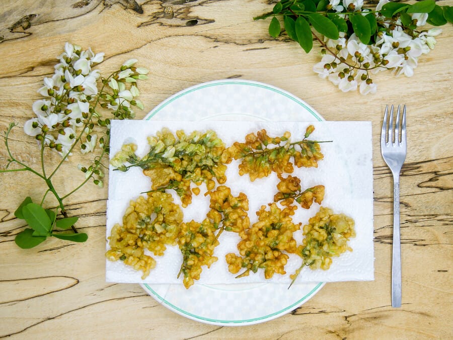 Acacia Flower Fritters