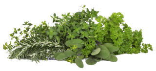 Image de fresh herbs