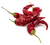 Image de cayenne pepper