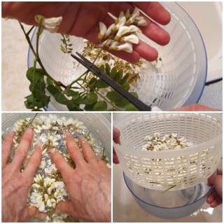 Beignets de fleurs d’acacia - Instruction 3