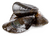 Image de mussels