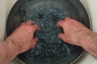 Coulis de myrtilles facile - Instruction 0