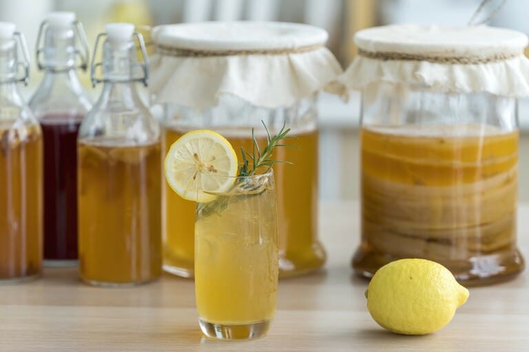 La kombucha mania : entre engouement et authenticité