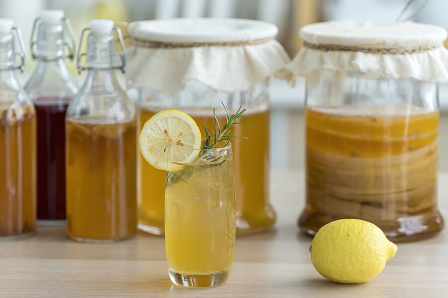 Kombucha Mania: Between Craze and Authenticity