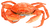 Image de crab