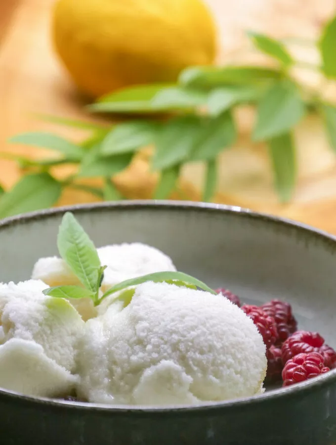 Sorbet à la verveine citronnée