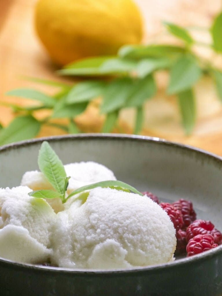 Sorbet à la verveine citronnée