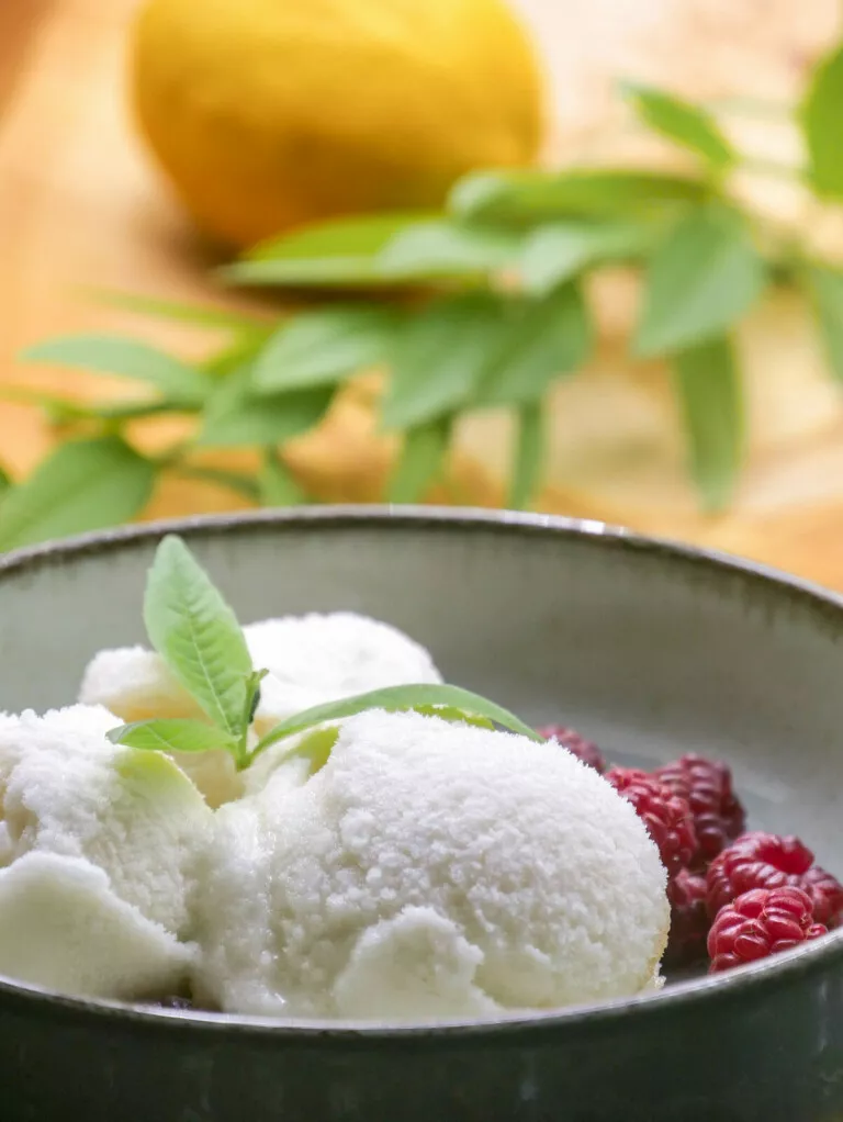 Sorbet à la verveine citronnée Sorbet à la verveine citronnée
