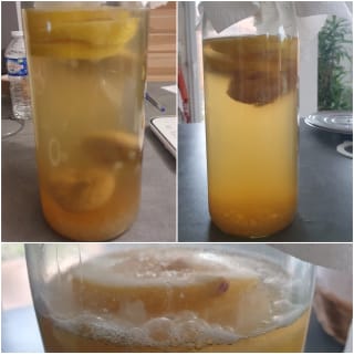 Mon kéfir d’eau et de fruits maison – Instruction 5 Mon kéfir d’eau et de fruits maison - Instruction 5
