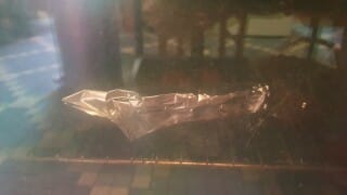 Tarte bayadère aux légumes d&rsquo;été - Instruction 6