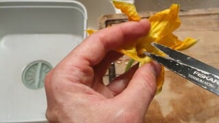 Beignets de fleurs de courgettes – Instruction 2 Beignets de fleurs de courgettes - Instruction 2
