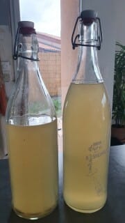 Mon kéfir d’eau et de fruits maison – Instruction 9 Mon kéfir d’eau et de fruits maison - Instruction 9