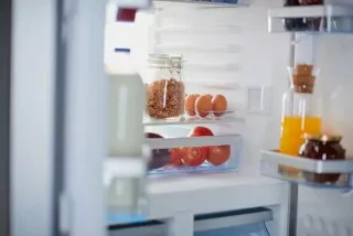 Réfrigérateur pour conserver grains de kéfir