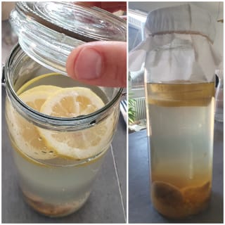 Mon kéfir d’eau et de fruits maison – Instruction 4 Mon kéfir d’eau et de fruits maison - Instruction 4