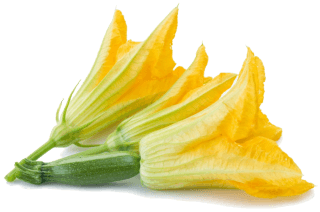 Image de zucchini flower