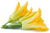 Image de zucchini flower