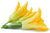 Image de zucchini flower