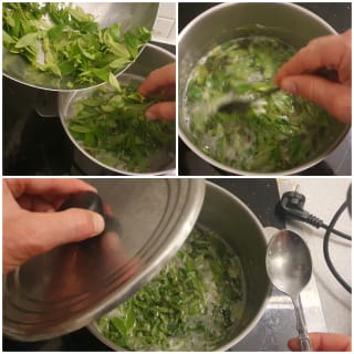 Sorbet à la verveine fraîche – Instruction 3 Sorbet à la verveine fraîche - Instruction 3