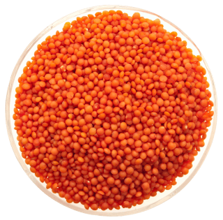 Image de red lentils