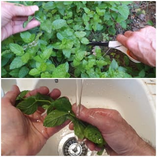 Boisson rafraîchissante citron menthe - Instruction 0