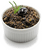 Image de tapenade