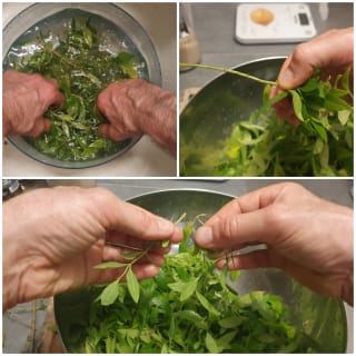 Sorbet à la verveine fraîche – Instruction 0 Sorbet à la verveine fraîche - Instruction 0