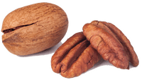 Noix de pécan