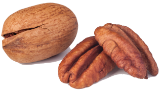 Pecans in the Kitchen: Season, Nutritional Value, and Preparation