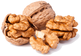 Image de walnut kernel