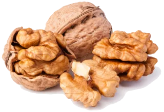 Image de walnut kernel