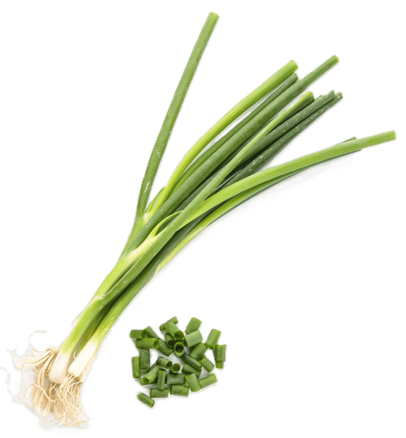 Spring onions in the kitchen: origins, nutritional value, and preparation