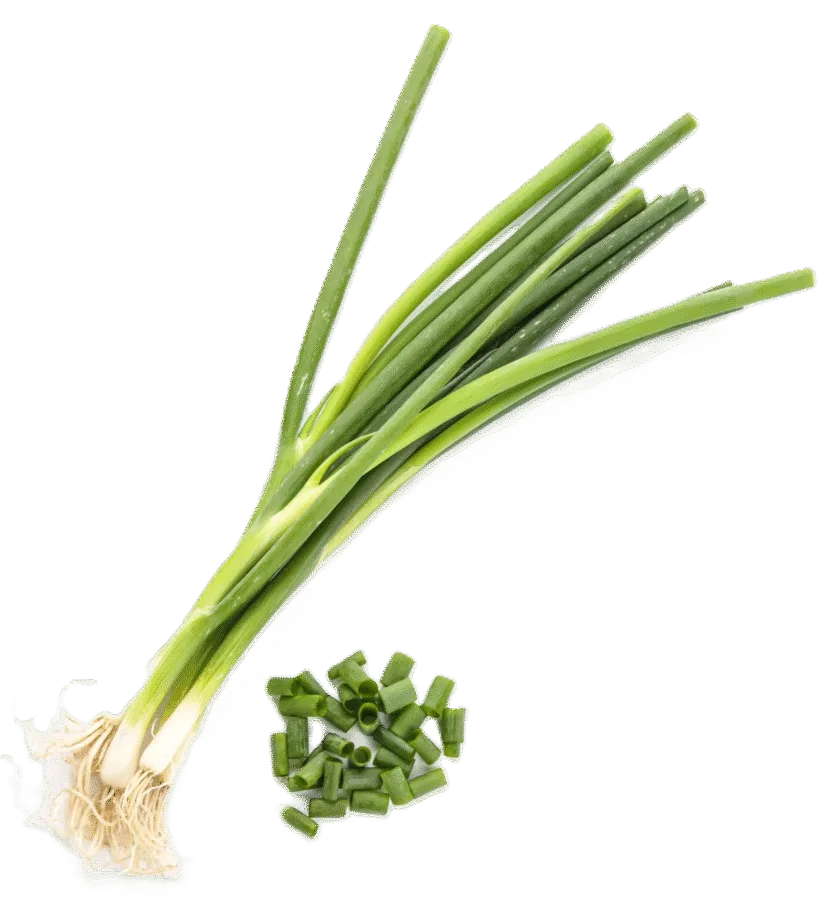 Spring onions in the kitchen: origins, nutritional value, and preparation