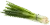 Image de spring onion